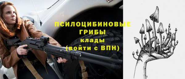 гидропоника Лагань