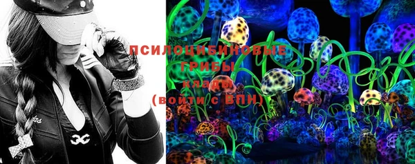 дмт Ладушкин