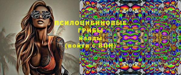 гидропоника Лагань