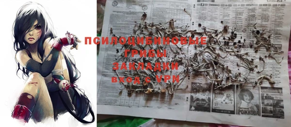 гидропоника Лагань