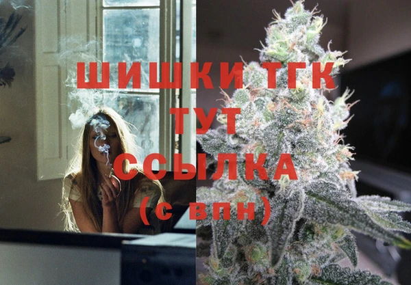 дживик Болотное